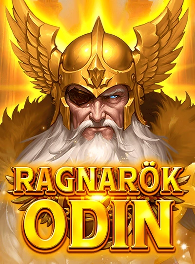 cbajic cbajic